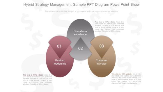 Hybrid Strategy Management Sample Ppt Diagram Powerpoint Show