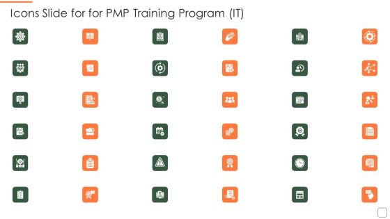 Icons Slide For For Pmp Training Program It Professional PDF