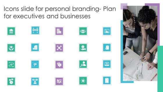Icons Slide For Personal Branding Plan For Executives And Businesses Professional PDF Icons Slide For Personal Branding Plan For Executives And Businesses Professional PDF