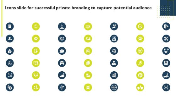 Icons Slide For Successful Private Branding To Capture Potential Audience Themes PDF Icons Slide For Successful Private Branding To Capture Potential Audience Themes PDF