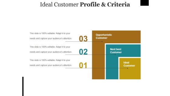 Ideal Customer Profile And Criteria Ppt PowerPoint Presentation Summary Mockup