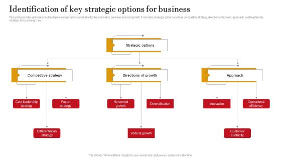 Identification Of Key Strategic Options For Business Ppt PowerPoint Presentation File Icon PDF