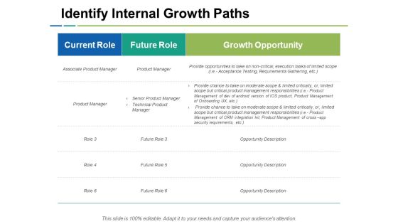 Identify Internal Growth Paths Ppt PowerPoint Presentation Layouts Background