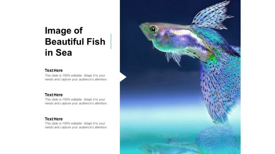 Image Of Beautiful Fish In Sea Ppt PowerPoint Presentation Pictures Professional Image Of Beautiful Fish In Sea Ppt PowerPoint Presentation Pictures Professional
