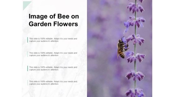 Image Of Bee On Garden Flowers Ppt PowerPoint Presentation Pictures Example File Image Of Bee On Garden Flowers Ppt PowerPoint Presentation Pictures Example File