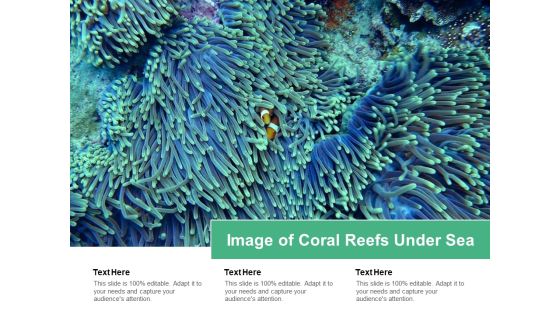 Image Of Coral Reefs Under Sea Ppt PowerPoint Presentation Icon Skills Image Of Coral Reefs Under Sea Ppt PowerPoint Presentation Icon Skills