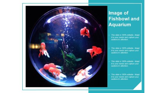 Image Of Fishbowl And Aquarium Ppt Powerpoint Presentation Infographics Design Inspiration Image Of Fishbowl And Aquarium Ppt Powerpoint Presentation Infographics Design Inspiration