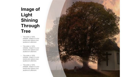 Image Of Light Shining Through Tree Ppt PowerPoint Presentation Icon Outfit Image Of Light Shining Through Tree Ppt PowerPoint Presentation Icon Outfit