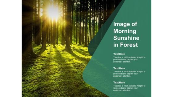Image Of Morning Sunshine In Forest Ppt PowerPoint Presentation Inspiration Slide Download Image Of Morning Sunshine In Forest Ppt PowerPoint Presentation Inspiration Slide Download