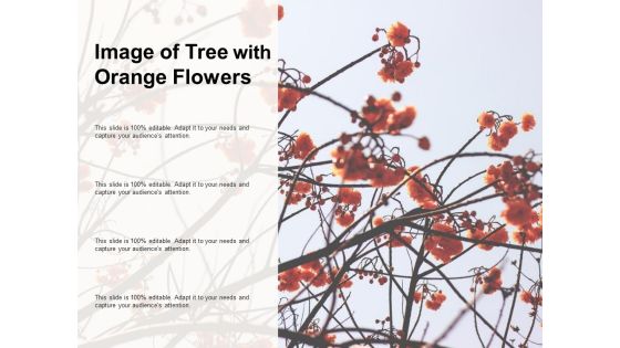 Image Of Tree With Orange Flowers Ppt PowerPoint Presentation Outline Rules Image Of Tree With Orange Flowers Ppt PowerPoint Presentation Outline Rules