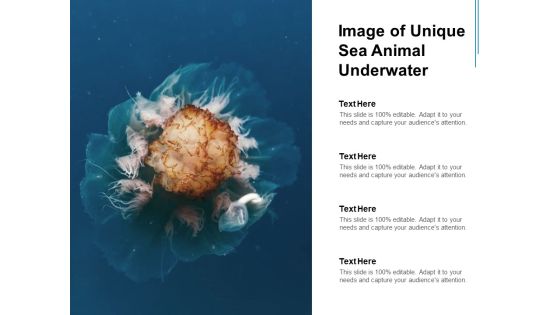 Image Of Unique Sea Animal Underwater Ppt PowerPoint Presentation Portfolio Clipart Image Of Unique Sea Animal Underwater Ppt PowerPoint Presentation Portfolio Clipart