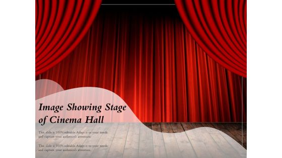 Image Showing Stage Of Cinema Hall Ppt PowerPoint Presentation Gallery Structure PDF