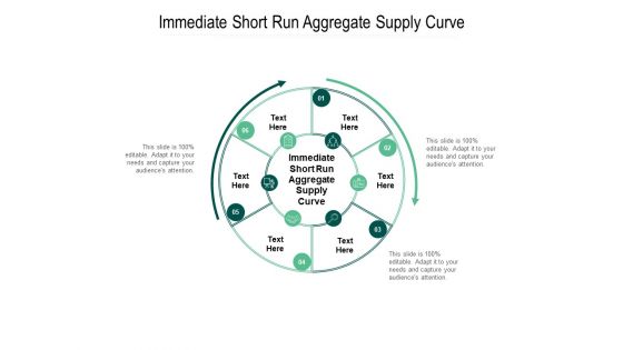 Immediate Short Run Aggregate Supply Curve Ppt PowerPoint Presentation Model Graphics Cpb Pdf