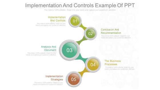 Implementation And Controls Example Of Ppt