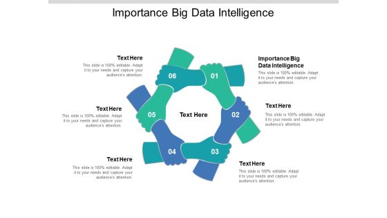 Importance Big Data Intelligence Ppt PowerPoint Presentation Show Format Cpb Pdf Importance Big Data Intelligence Ppt PowerPoint Presentation Show Format Cpb Pdf