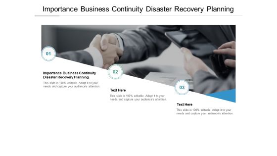 Importance Business Continuity Disaster Recovery Planning Ppt PowerPoint Presentation Model Format Cpb