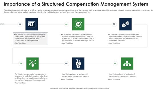 Importance Of A Structured Compensation Management System Professional PDF