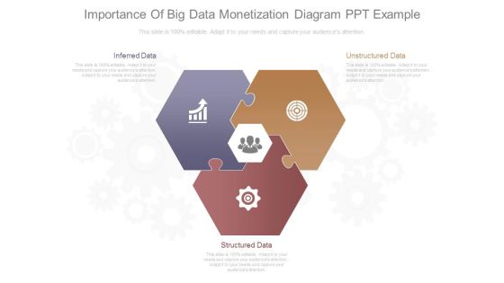 Importance Of Big Data Monetization Diagram Ppt Example Importance Of Big Data Monetization Diagram Ppt Example