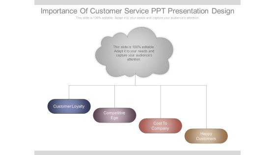 Importance Of Customer Service Ppt Presentation Design