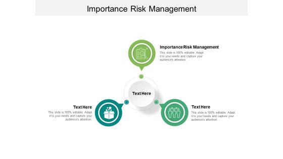 Importance Risk Management Ppt PowerPoint Presentation Layouts Show Cpb