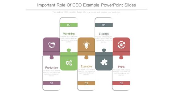 Important Role Of Ceo Example Powerpoint Slides Important Role Of Ceo Example Powerpoint Slides