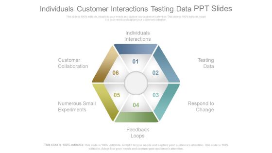 Individuals Customer Interactions Testing Data Ppt Slides Individuals Customer Interactions Testing Data Ppt Slides