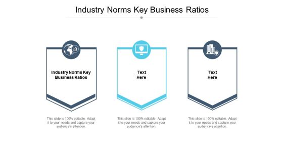 Industry Norms Key Business Ratios Ppt PowerPoint Presentation Styles Ideas Cpb