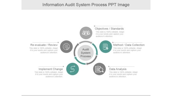 Information Audit System Process Ppt PowerPoint Presentation Ideas