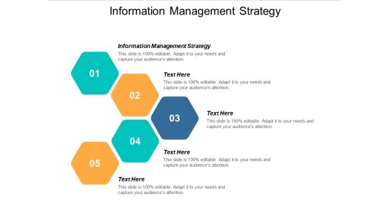 Information Management Strategy Ppt PowerPoint Presentation Portfolio Introduction Cpb