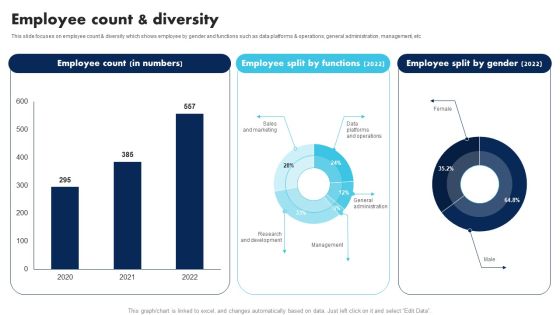 Information Technology Solutions Company Outline Employee Count And Diversity Icons PDF