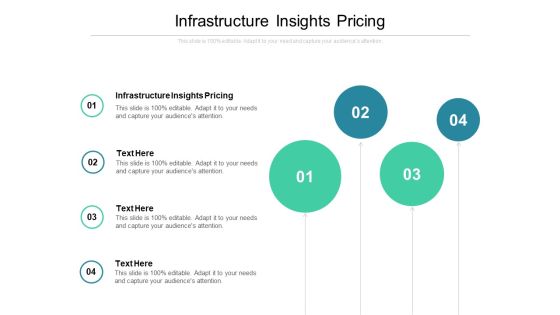 Infrastructure Insights Pricing Ppt PowerPoint Presentation Pictures Slides Cpb