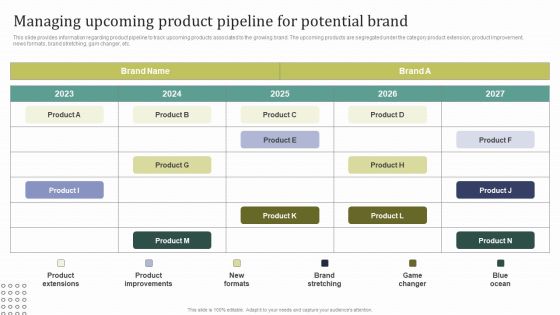 Instructions For Brand Performance Management Team Managing Upcoming Product Pipeline Pictures PDF