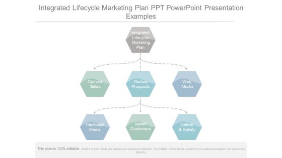 Integrated Lifecycle Marketing Plan Ppt Powerpoint Presentation Examples Integrated Lifecycle Marketing Plan Ppt Powerpoint Presentation Examples