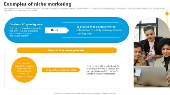Integrating Effective Target Marketing Tactics Examples Of Niche Marketing Infographics PDF Integrating Effective Target Marketing Tactics Examples Of Niche Marketing Infographics PDF