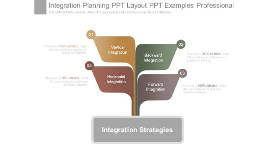 Integration Planning Ppt Layout Ppt Examples Professional Integration Planning Ppt Layout Ppt Examples Professional