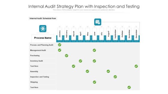 Internal Audit Strategy Plan With Inspection And Testing Ppt PowerPoint Presentation Infographics Portrait PDF
