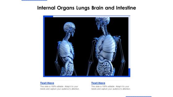 Internal Organs Lungs Brain And Intestine Ppt PowerPoint Presentation File Show PDF Internal Organs Lungs Brain And Intestine Ppt PowerPoint Presentation File Show PDF