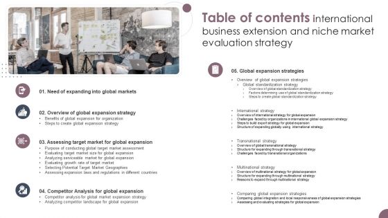 International Business Extension And Niche Market Evaluation Strategy Table Of Contents Download PDF