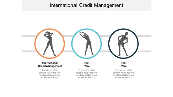 International Credit Management Ppt PowerPoint Presentation Ideas Information Cpb