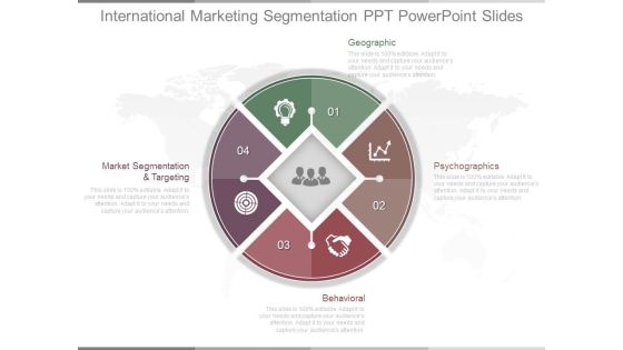 International Marketing Segmentation Ppt Powerpoint Slides