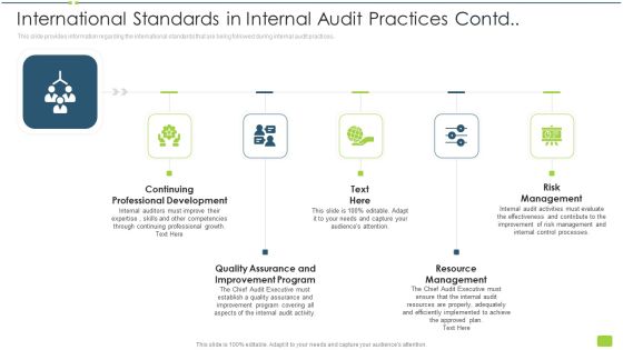 International Standards In Internal Audit Practices Contd Ppt Icon File Formats PDF International Standards In Internal Audit Practices Contd Ppt Icon File Formats PDF
