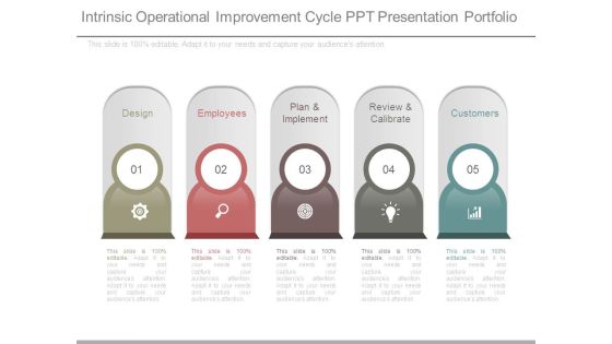 Intrinsic Operational Improvement Cycle Ppt Presentation Portfolio