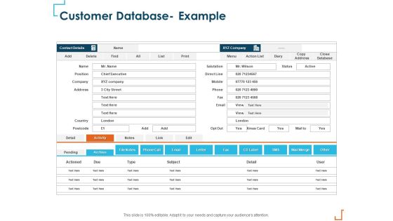 Introducing CRM Framework Within Organization Customer Database Example Mockup PDF