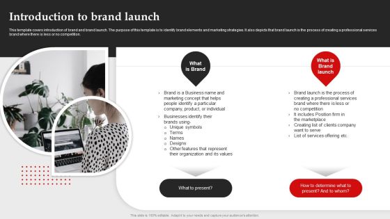 Introduction To Brand Launch Brand Introduction Plan Formats PDF Introduction To Brand Launch Brand Introduction Plan Formats PDF