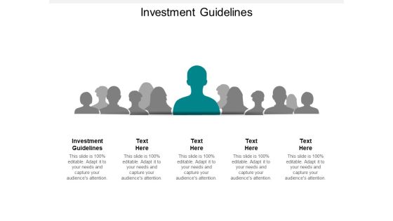 Investment Guidelines Ppt PowerPoint Presentation Inspiration Vector Cpb