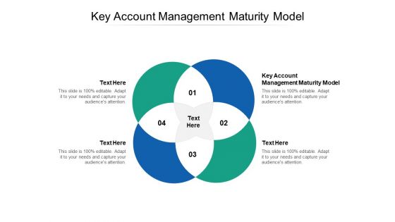 Key Account Management Maturity Model Ppt PowerPoint Presentation Show File Formats Cpb