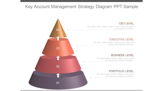 Key Account Management Strategy Diagram Ppt Sample