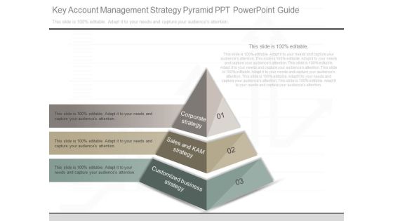 Key Account Management Strategy Pyramid Ppt Powerpoint Guide Key Account Management Strategy Pyramid Ppt Powerpoint Guide