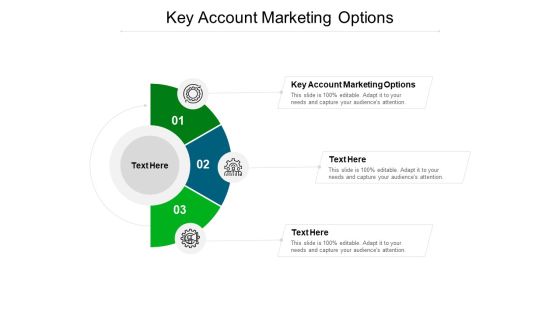 Key Account Marketing Options Ppt PowerPoint Presentation Layouts Icons Cpb Pdf