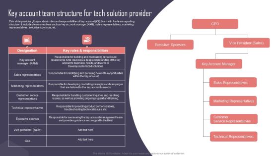 Key Business Account Management And Planning Techniques Key Account Team Structure For Tech Solution Provider Pictures PDF Key Business Account Management And Planning Techniques Key Account Team Structure For Tech Solution Provider Pictures PDF